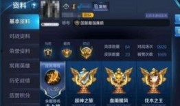 王者参数爆料最新,神秘英雄登场，技能升级，战局再起！