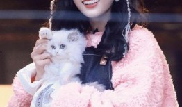 吴宣仪事件最新爆料,真相再起波澜，疑云重重引关注