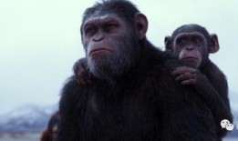 猩猿崛起3在线观看,命运之战在线观影指南：揭秘猿类新纪元的命运抉择